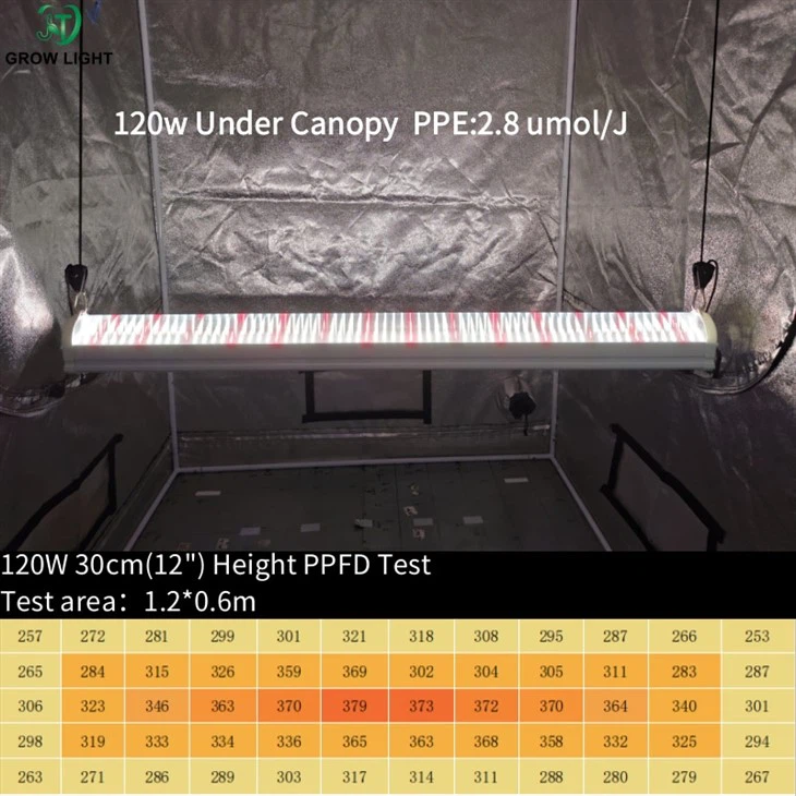 under canopy supplemental light (2)